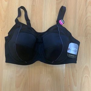 CHAMPION NEW WOMAN SPORT BRA!(38DD)